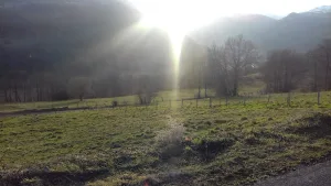 Charbonnel Bruno à Laveissière