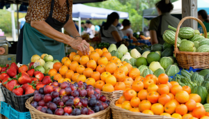 Chaque année, une part importante de la nourriture produite mondialement est perdue ou gaspillée, ce qui entraîne un impact dévastateur sur l’environnement, l’économie et la société. Avec la montée des enjeux écologiques et l’inflation des prix alimentaires, adopter des pratiques [&hellip;]
