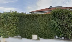 Alu 5 Plus Sarl à Brunstatt-Didenheim