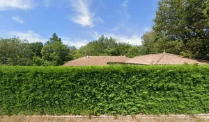 Bannier Alain à Chalon