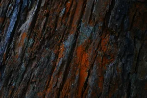 La rénovation de votre salle de bains est un projet passionnant qui peut non seulement améliorer l&rsquo;esthétique de votre maison, mais aussi augmenter sa valeur. Les tendances en matière de carrelage et d&rsquo;aménagement de salle de bains évoluent constamment, et [&hellip;]