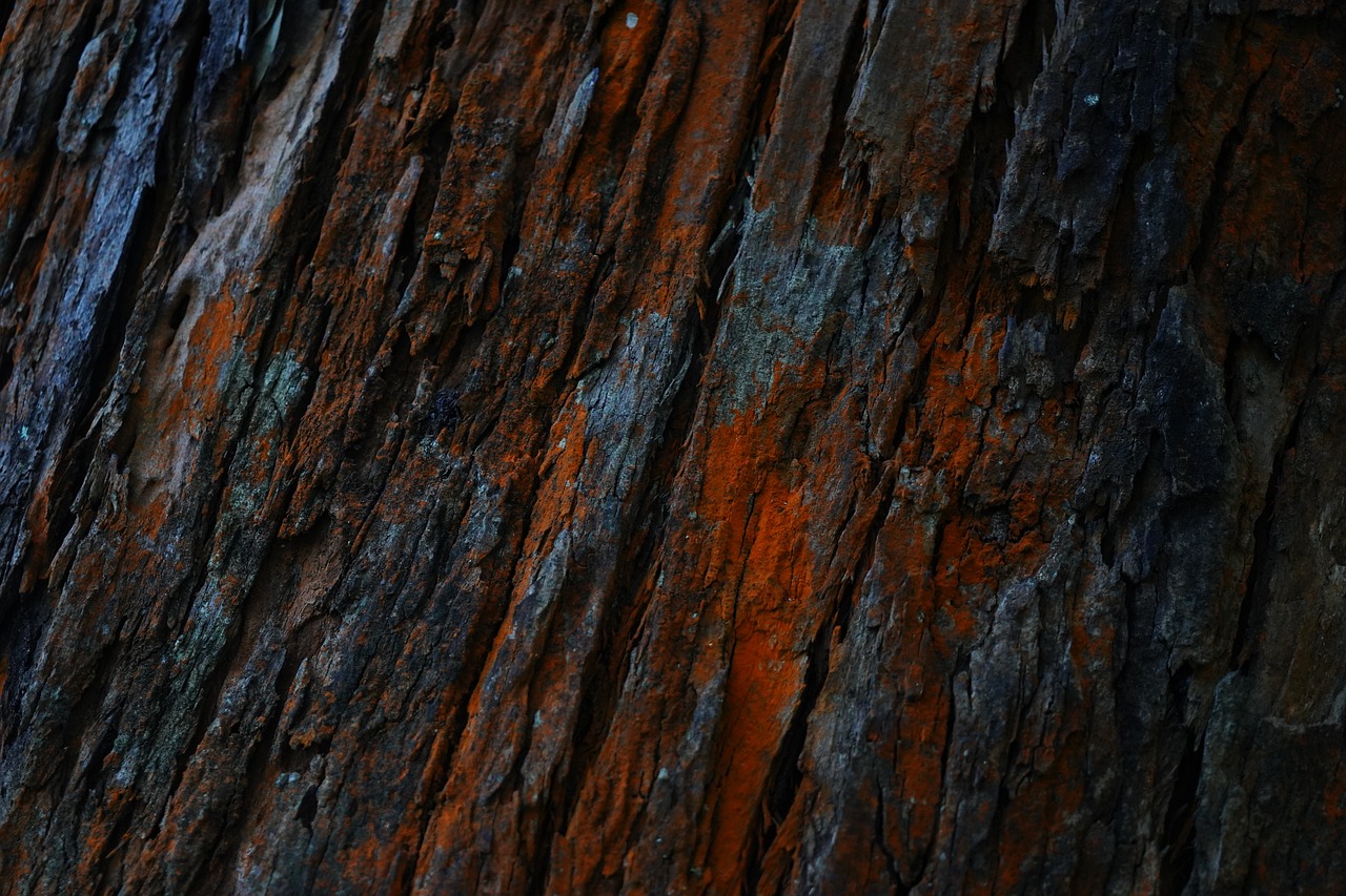 Carrelage effet bois dans une salle de bains contemporaine