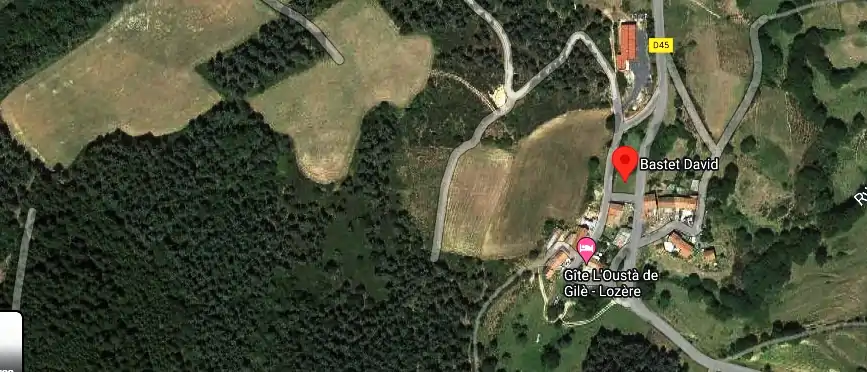 Bastet David à St Bonnet-Laval