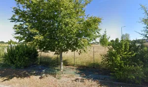 La Charpente Couverture Traditionnelle sas à Mayet