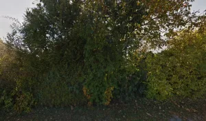 Dan Couverture à Sombernon