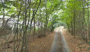 Dorize Charpente Couverture à Pruillé-le-Chétif