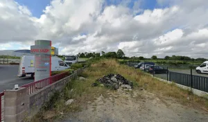 Basset Patrick à Plédran