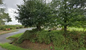 Pour tout besoin d&rsquo;un plombier en urgence vous pourrez faire appel à l&rsquo;expertise et services de la société Diboues Sanitaire Chauffage. L&rsquo;entreprise de plomberie vous enverra son meilleur plombier sur Évellys, pour mettre en place un devis ou une intervention [&hellip;]