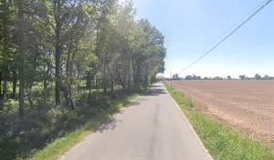 Camisoli Fils à Aire-sur-l'Adour