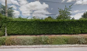 Aubry Christophe à Ruffignè