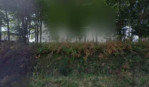 Davard Mickaël à Saint-Germain-en-Coglès