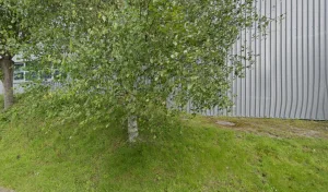 Couvertures Lecomte à Lorient