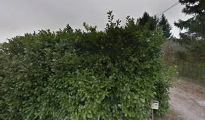 ADOLPHE MOISE à Igney