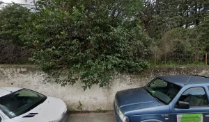 Danh Willy à Nîmes