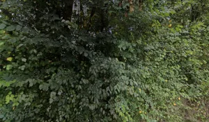 Costey Jérôme à Bourneville-Sainte-Croix