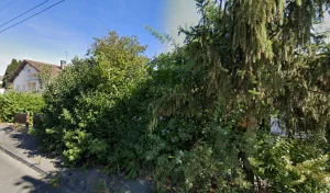 Damour Patrick à Vesoul