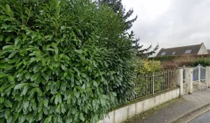 FDR Couverture à Moyvillers