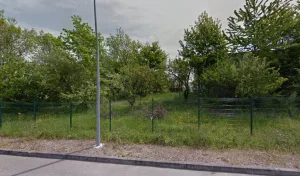 DAZY SARL à 01750 Replonges