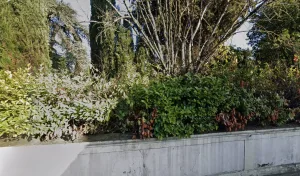 Cabartier Jean à Cazères