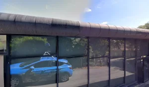 Dambon Willy à Montcaret