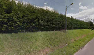 Caudimpex à Bacqueville-en-Caux