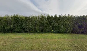 Caillaud Olivier à Champagne