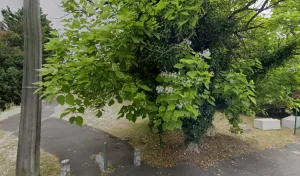 Buttarelli Olivier – couvreur-bdx.fr à Libourne