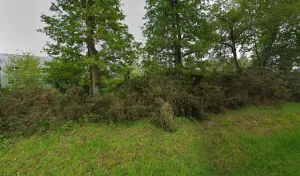 DLF 35 à Saint-Jacques-de-la-Lande