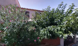 Plomberie Bourgeois à Leucate