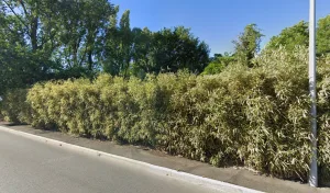 Chacun Jean-Paul – Plombier – électricien – chauffage – dépannage – La Roche sur Yon à La Roche-sur-Yon