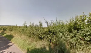 Alain Patrice à Vimoutiers