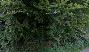 Marais Laurent sarl à La Rivière-Saint-Sauveur