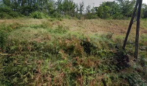 Clauzel Sarl à La Clayette