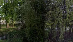 Cornillet Couverture à Noyal-Châtillon-sur-Seiche